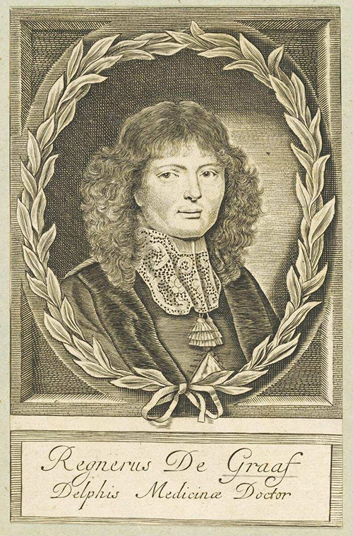 Dutch physician Reinier de Graaf