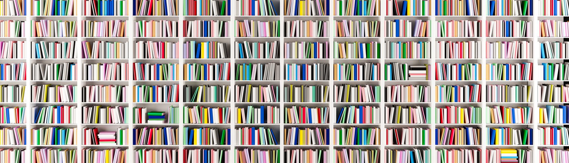 Eight rows of bookshelves filled with books.